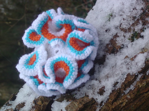 hyperbolic crochet 006