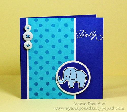 Baby Elephant (2)