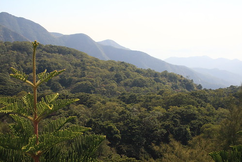 View of mountains from the Giant Buddha of Hong Kong