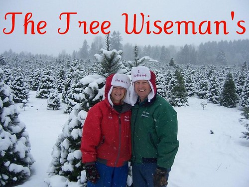 The Tree Wiseman's