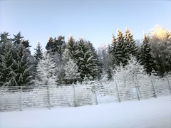 Drive through Winter Wonder Land #1 by RennyBA