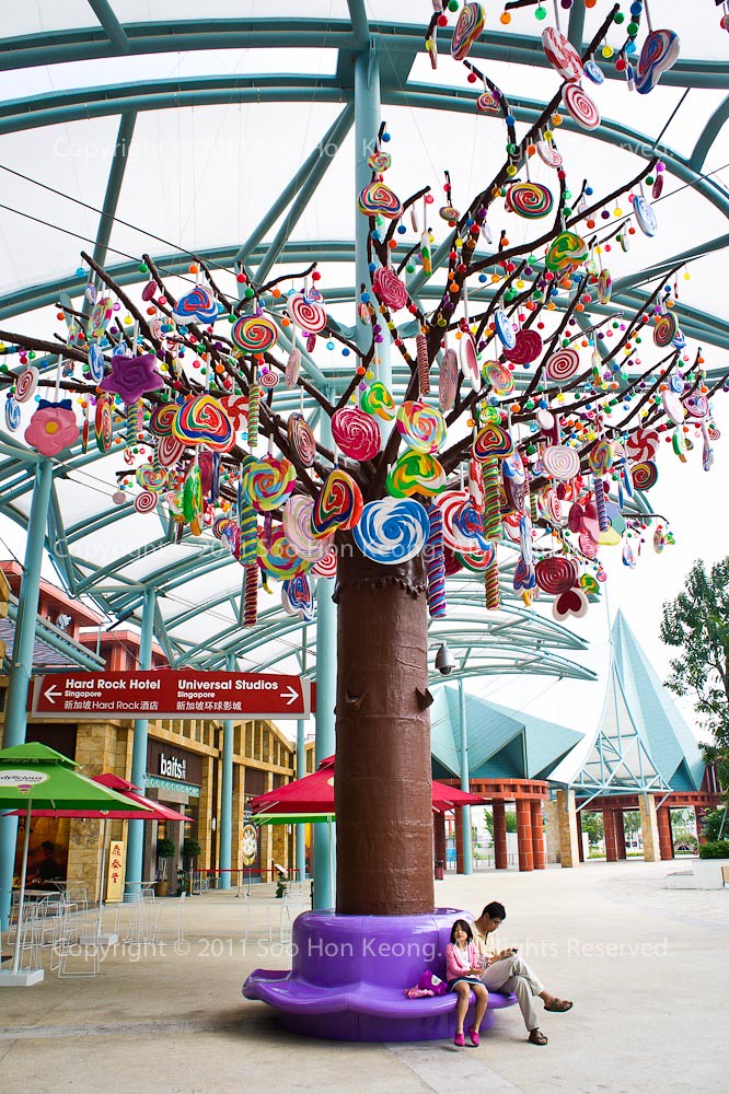Under the candy tree @ Singapore