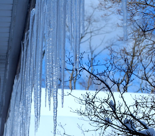 Icicles at School