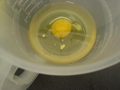 eggshells in my egg