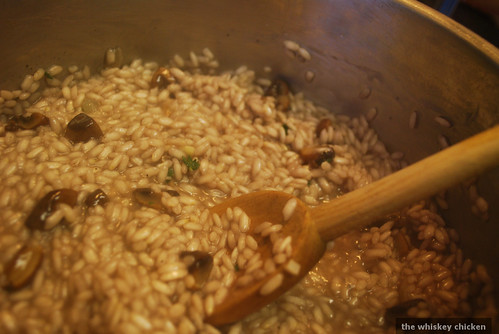 Risotto in Action
