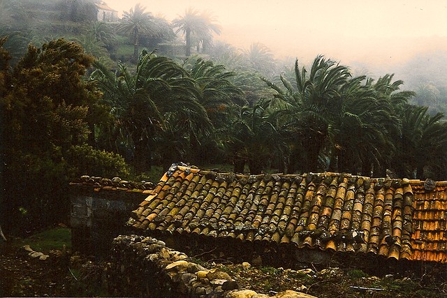 Alte hütte auf Gomera, Hintergrund Palmen