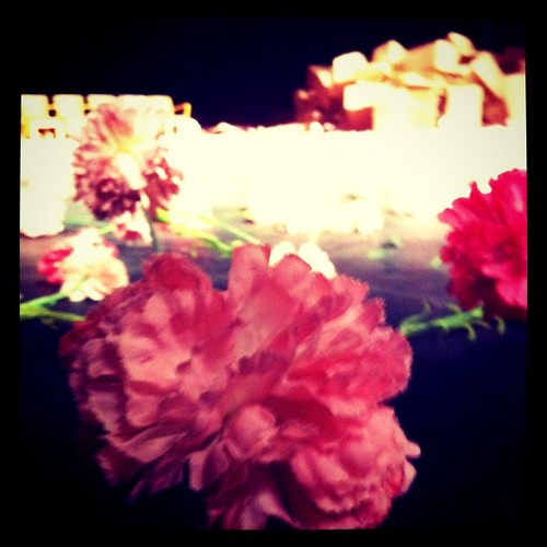 pina bausch 劇團劇目《康乃馨》carnations 