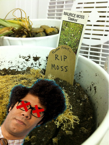 RIP MOSS