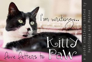 Love Letters to Kitty Paw