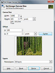 Dialog box for Canvas Size command in GIMP