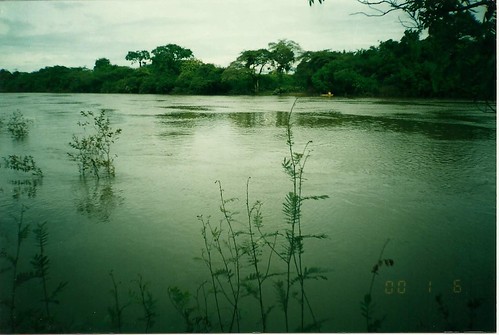rio Katu, Guyana by marcus peixoto