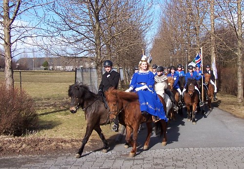 Icelandic Horse Festival