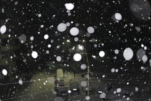 Snowfall ©  Mikhail Kryshen