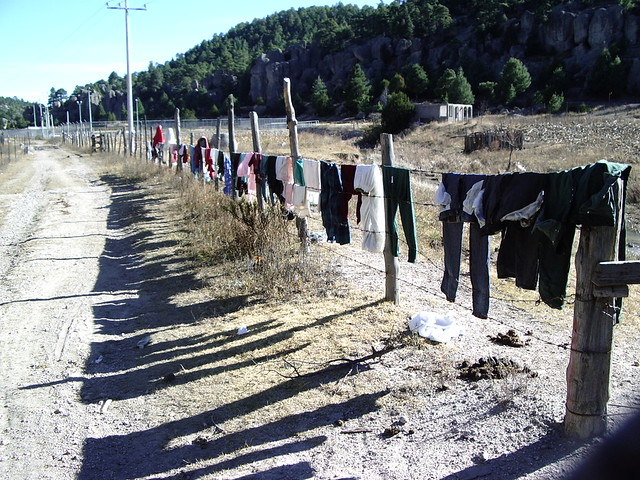 Washing drying on a barbed wire fence
