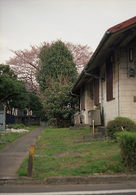 阿佐ヶ谷住宅2009