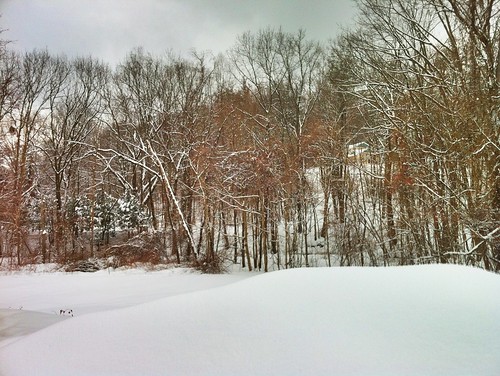 Showing homes in #westernma. This snowy scene is Leeds, MA