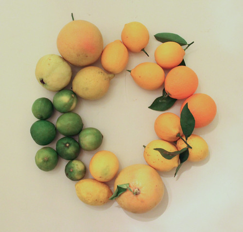 california citrus