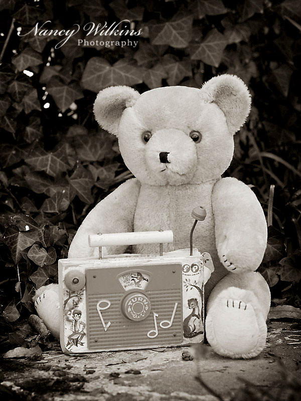 51/365 teddy and the radio