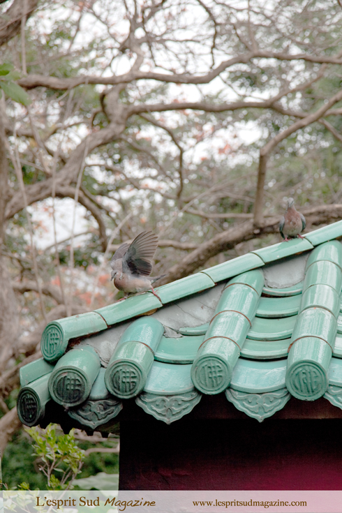 Doves Kuan Yin Temple (Honolulu - Chinatown)
