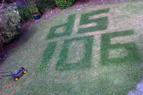Two letter, three numerals in my lawn. ds106.