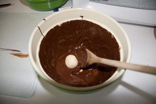 Dip in Chocolate