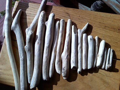 Driftwood Sticks