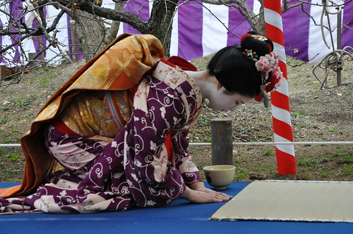 Tea Ceremony -- Maiko