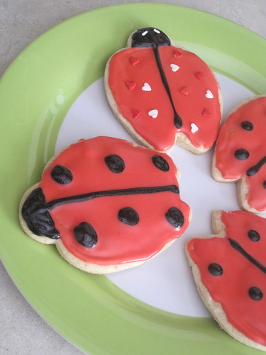 closer look at the ladybug :)