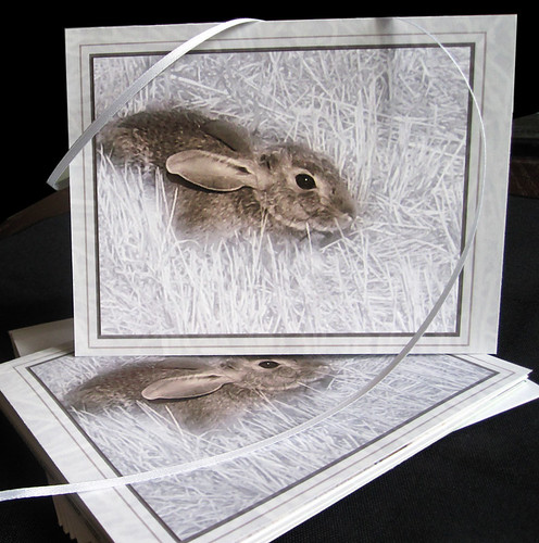 Bunny Love Card Display 1