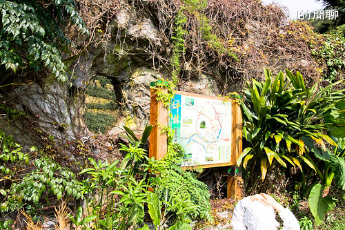 坪林 茶葉的故鄉 茶葉博物館 石雕公園 20110320-111-J的閒聊