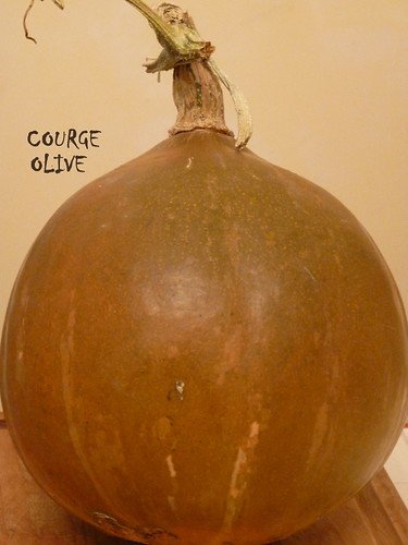 courge olive