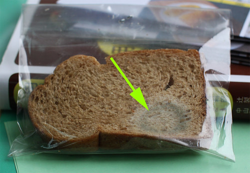 霉麵包 -1