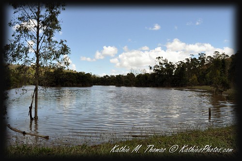 37-365 Birdsland Reserve lake after the rains