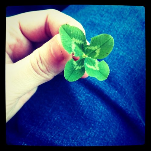 I bet you didn't know I am an expert 4 leaf clover hunter, did you?