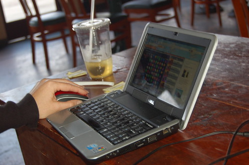 Using the Netbook