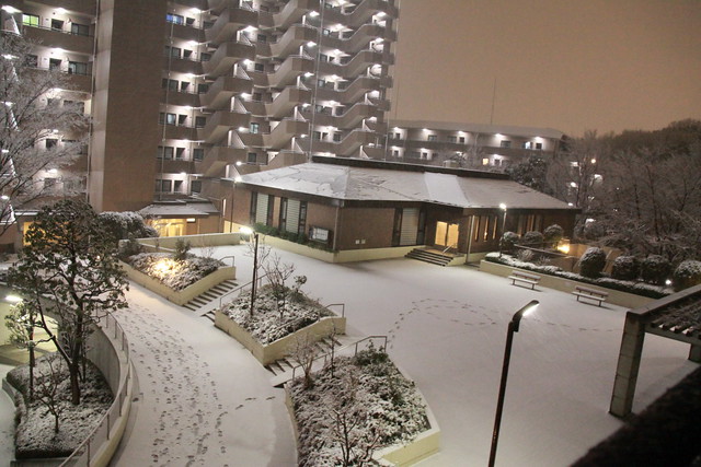 2011 Snow in Yokohama