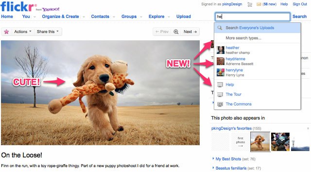 Flickr's new Search Box