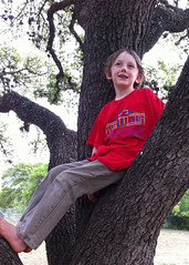 Asher relaxing in a tree