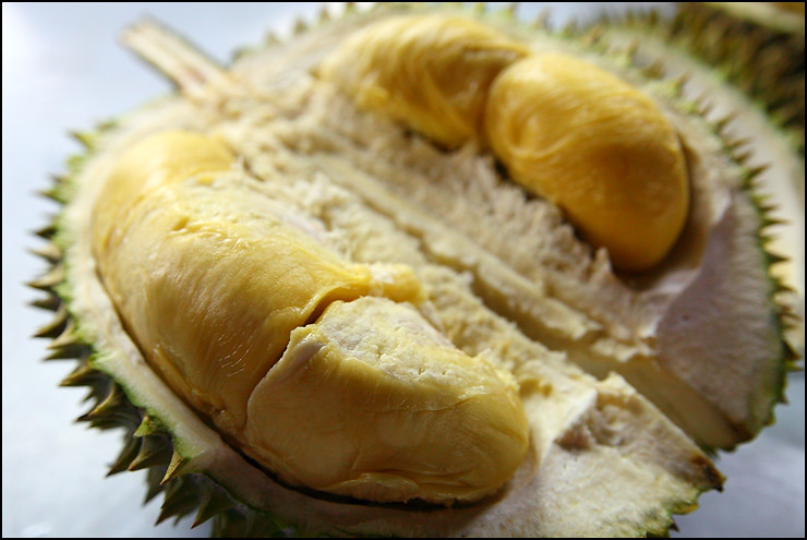 XO-durian