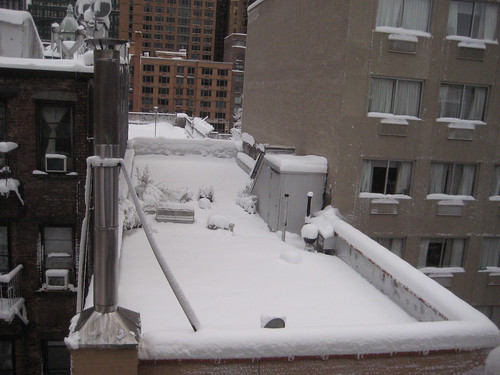 Pictures Of 2011 Snow Storm. 2011 Mini Blizzard Snow Storm