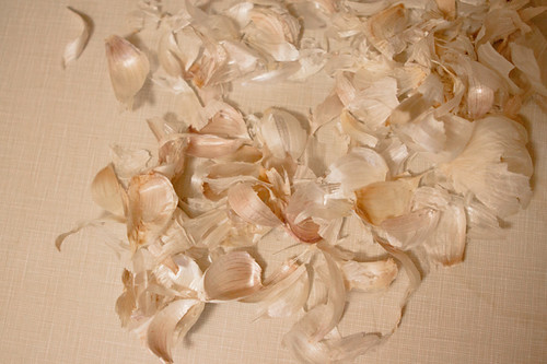garlic skins