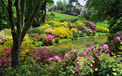 Leonardslee Gardens, West Sussex, UK | Kaleido...