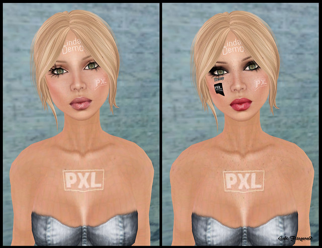 skin fair 2011 - PXL