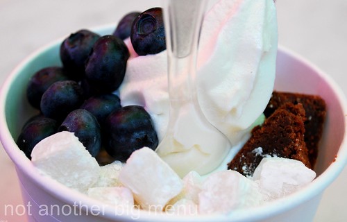 Snog frozen yoghurt - spiced apple, blueberries, brownies and mochi