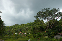 Tana Toraja - sulawesi