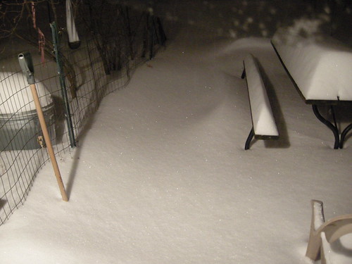 Backyard Snow Drifts