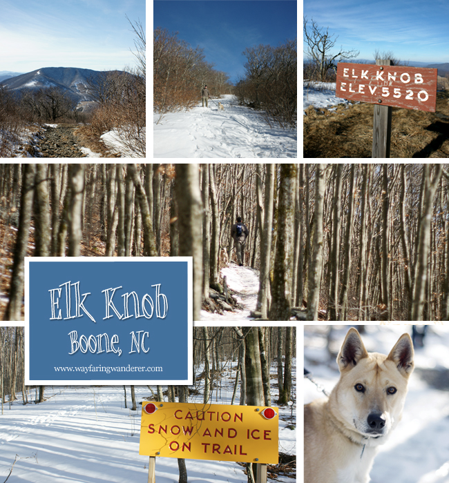 Elk Knob Collage
