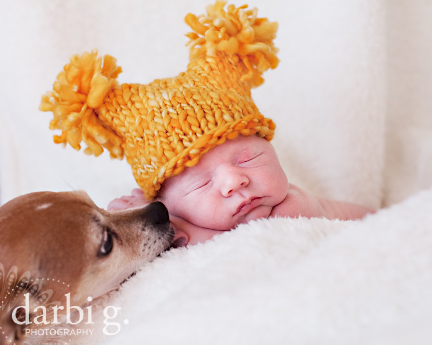 DarbiGPhotography-Kansas City newborn photographer-031511-MY-109