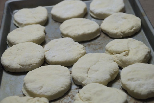 southern buttermilk biscuits  going into the freezer