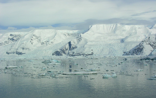 ANTARCTICA2010-507 Andvord Bay 南極 Andvord灣
